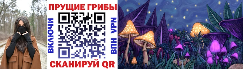 Псилоцибиновые грибы Cubensis  Десногорск 